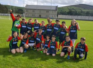 Victory for our GAA Team – Carlow Educate Together