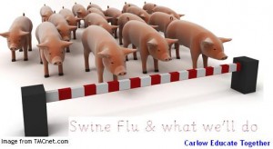 swine-flu